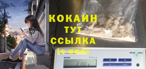 спиды Калининец