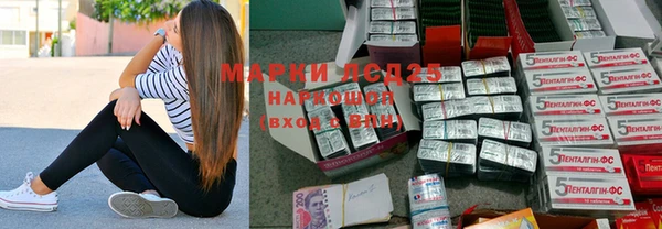 молекула духа Заводоуковск