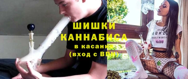 spice Каменка