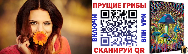 Псилоцибиновые грибы MAGIC MUSHROOMS  купить  сайты  Завитинск 